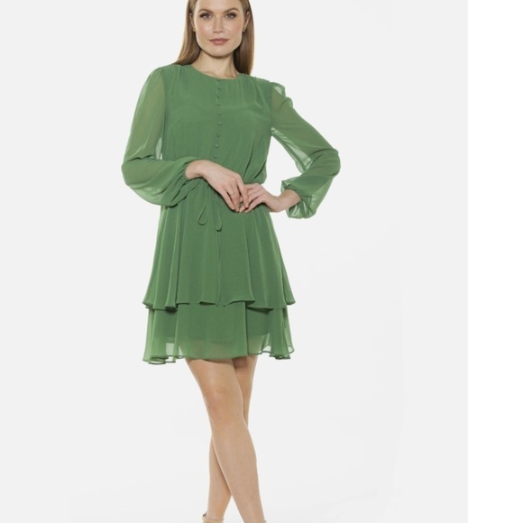 Alexia Admor Green Chiffon Balia Mini Dress - Picture 1 of 15